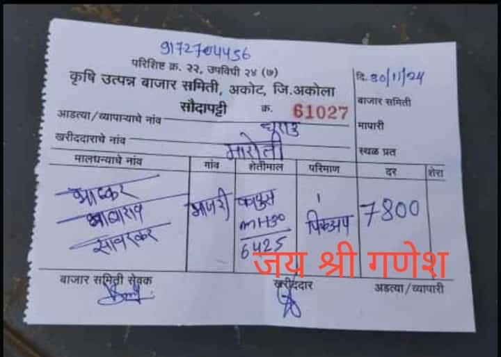 Kapus Bajar Bhav